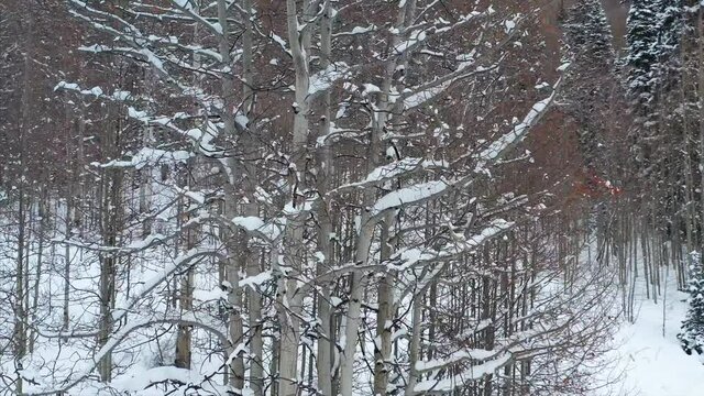Aerial over snow frosted, winter landscapes.