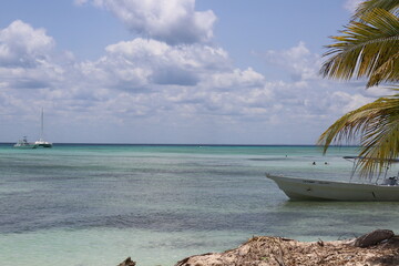 beach with palm trees and boat