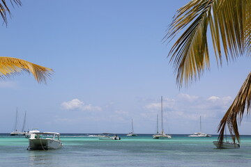 beach with boats and palm trees
