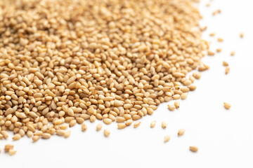 白ゴマ（白バック）