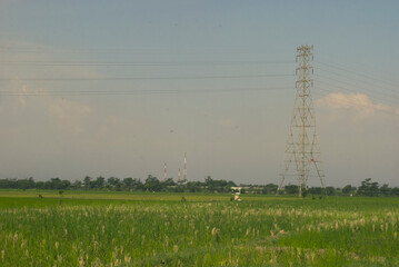 power lines in the field