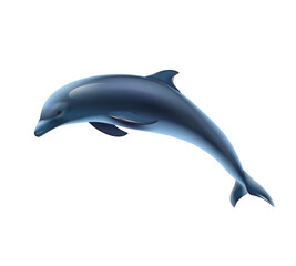 Dolphin Realistic Illustration