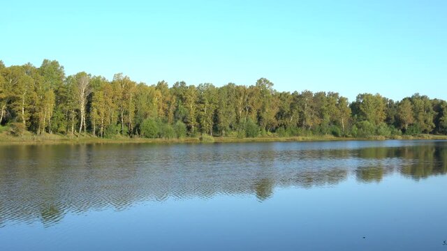 Wide forest river in autumn. Appeasement