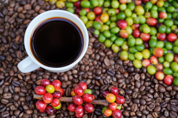 Close-up of a white coffee cup with raw coffee beans background in the morning sunlight.