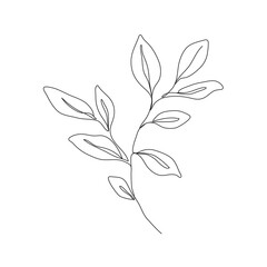 Botanical Line Art Drawing of Simple Leaves Branch. Minimal Abstract Floral Modern Art Illustration. Minimal Botanical Flower One Line Drawing. Vector EPS 10