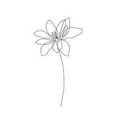 Flower Line Art Drawing. Floral Minimalist Contour Drawing. One Line llustration. Plant Black Sketch Isolated on White Background. Vector EPS 10