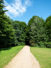View to the path in park and trees