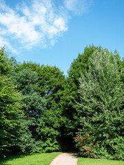 View to the path in park and trees