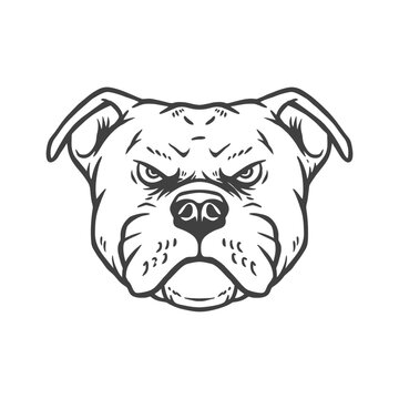 head of bulldog head design illustration vector tempalte, design elemet for logo, poster, card, banner, emblem, t shirt. Vector illustration