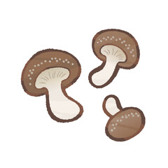椎茸