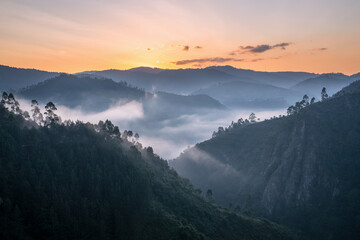 Fototapeta premium Landscape of Bwindi National Park, Uganda