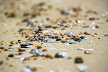 close up of a sand