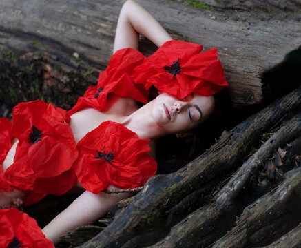 portrait of beautiful sexy woman lying in forest between branches with fashion red paper poppies