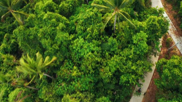 Drone over the lush jungle tracks a motorcyclist.