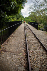 the Rail Corridor of Singapore close to Bukit Timah Forest Reserve. he railway line was used for commuting and transporting goods between Singapore and Malaysia.
