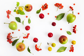 Stylish composition of colorful fruits and berries. Top view on white background. Autumn flat lay