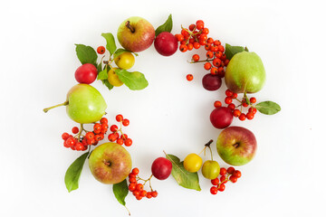 Round frame with Autumn yellow, orange and red vegetables and fruits on white wooden background, top view, flat lay. Autumn background.