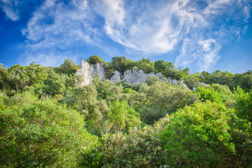 Fototapeta na wymiar Formación rocosa rodeada de árboles en el monte Buciero cerca de la villa de Santoña, España