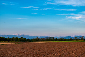 Evening in the countryside of Friuli