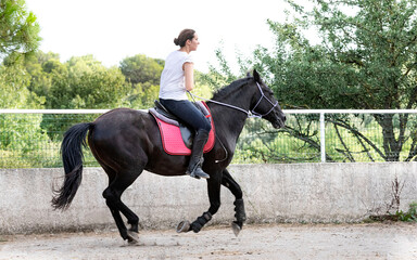 riding girl and horse