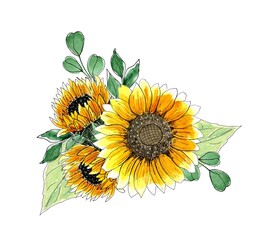 Watercolor composition of sunflowers. Hand painted illustration, isolated on white background. Design element of floral decoration for wedding printing