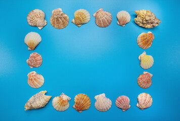 Seashell frame border on a blue surface travel background mockup design template .