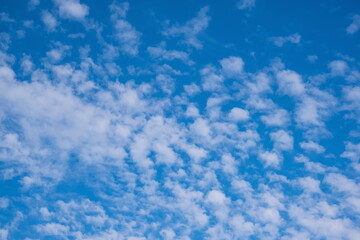 Obraz premium Blue sky with light fluffy white clouds background.