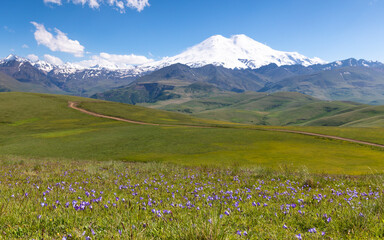 Fototapeta premium alpine meadow in the mountains