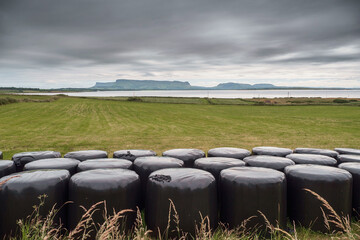 Obraz premium Row of black ball of hey in plastic in a field, Agriculture industry. Food chain production. Overcast day, muted colors. Mountains in the background. County, Sligo, Ireland