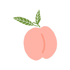 peach hand drawn doodle. vector, minimalism. food, fruit, print, sticker, decor.