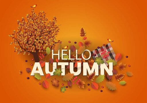 hello Autumn stylish background decorate with leaves and fruits. web banner. Vector illustration poster template design.