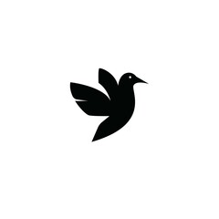 Bird logo vector and images