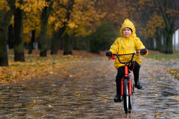 Portrait of blond boy in yellow raincoat. Boy rides bicycle in an autumn park in the rain. Bike...