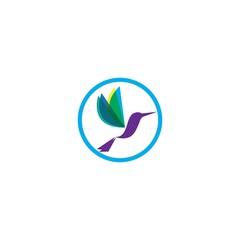 Bird logo vector and images