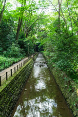 東京都　夏の等々力渓谷