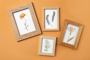 Frames with pressed dried flowers and plant leaf on orange background. Beautiful herbarium