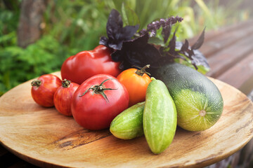 Autumn harvest on a wooden plate. Zucchini, tomatoes, cucumbers and basil leaves