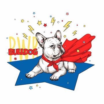 Cute french bulldog in superhero cape. Bulldog power illustration. Stylish image for printing on any surface
