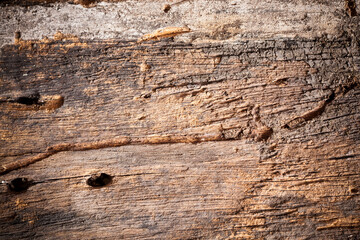 Texture old wood background.