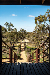 Naklejka premium sheep yards in desert