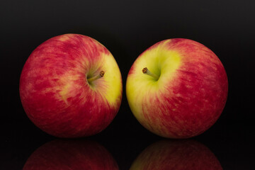 Two juicy organic apples, close-up, isolated on black.