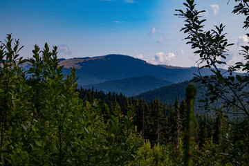 view on carpathians