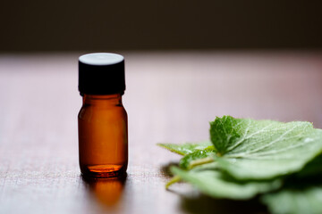 ユキノシタの葉と遮光瓶　ユキノシタエキス