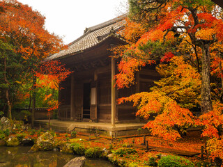 【京都】蓮華寺の紅葉