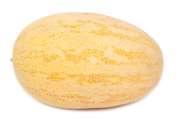Ripe yellow melon isolated on a white background.