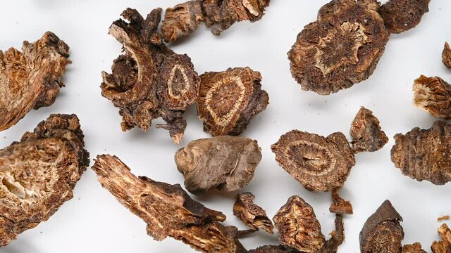 top view herb QiangHuo or Notopterygii Rhizoma et Radix or Incised Notopterygium Rhizome and Root rotating