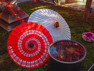 【京都】秋の勝林寺の景色 紅葉、和傘、花手水 - obrazy, fototapety, plakaty
