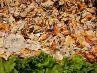 mussel cooking,street food thailand