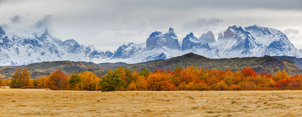 Panoramic image of an autumn landscape in the mountains: the Paine mountain range with the jagged peaks of Los Cuernos in southern Chile - obrazy, fototapety, plakaty