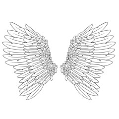 Obraz premium Angel Feather Wings Vector Illustration